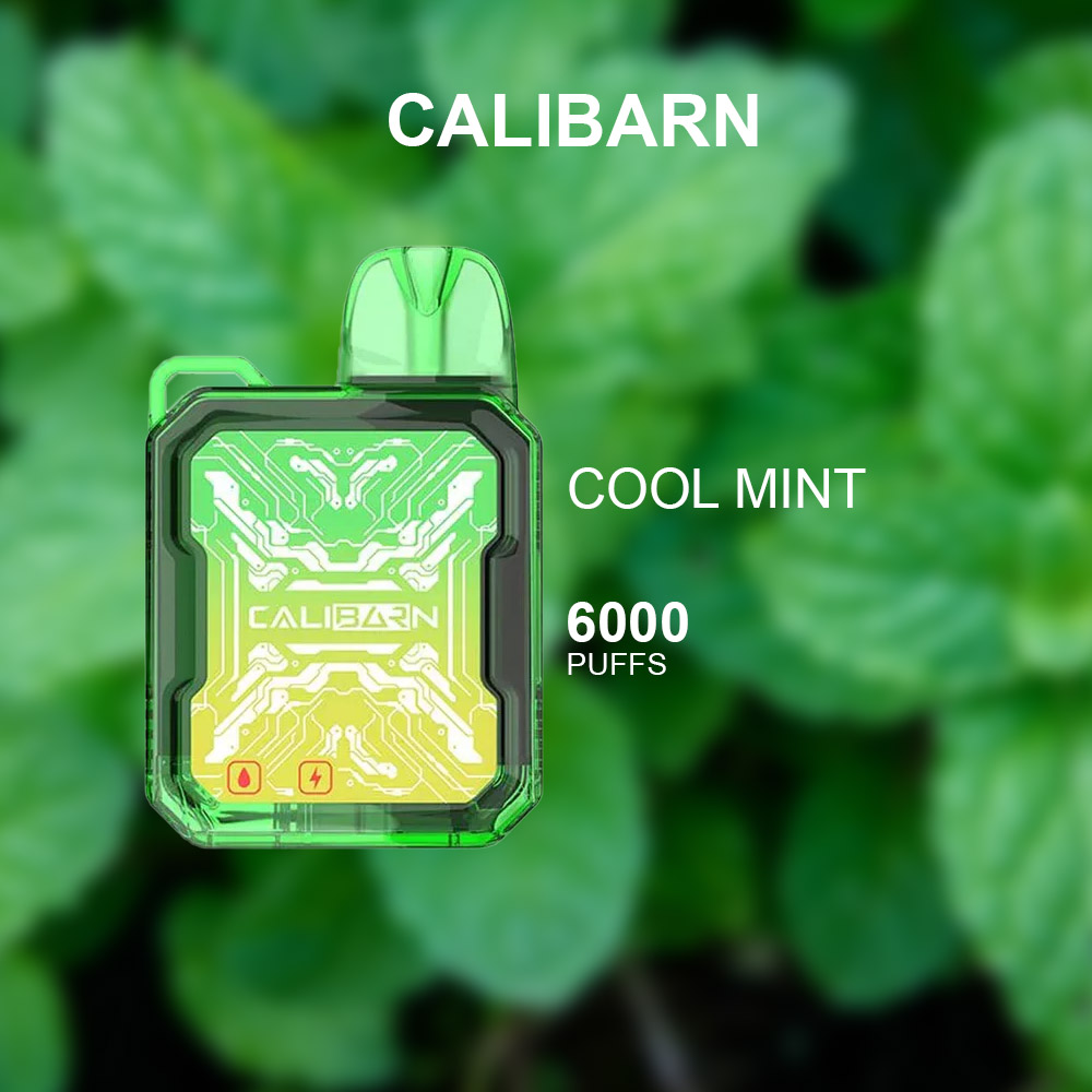CALIBARN COOL MINT - 6000 PUFFS — image 1