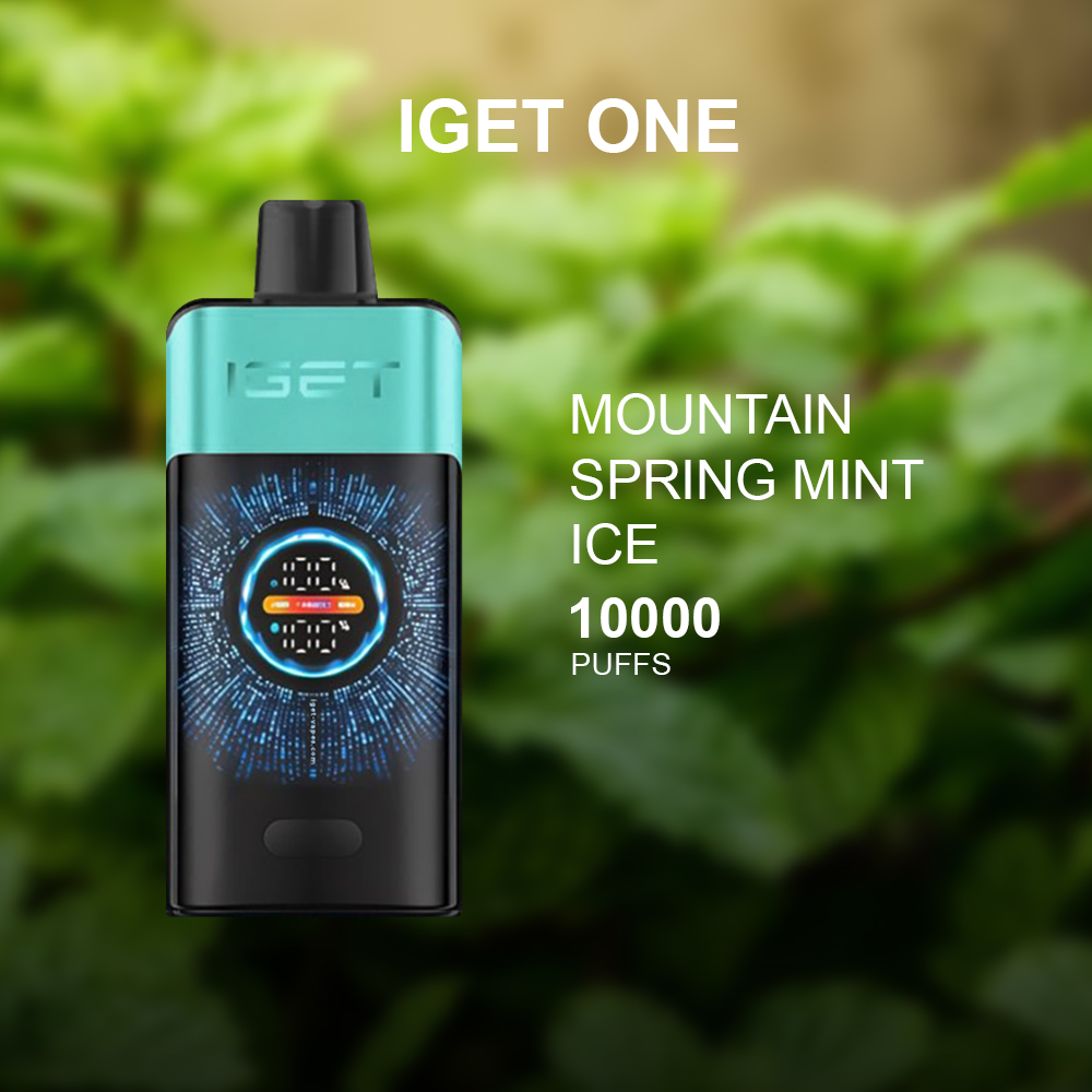 IGET ONE MOUNTAIN SPRING MINT ICE - 12000 PUFFS — image 1