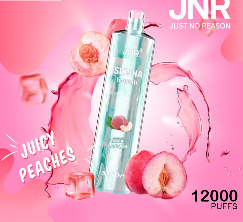 JNR SHISHA HOOKAH - JUICY PEACHES - 12000 PUFFS