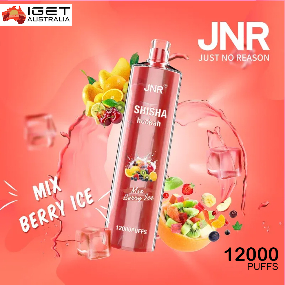 JNR SHISHA HOOKAH MIX BERRY ICE - 12000 PUFFS — image 1