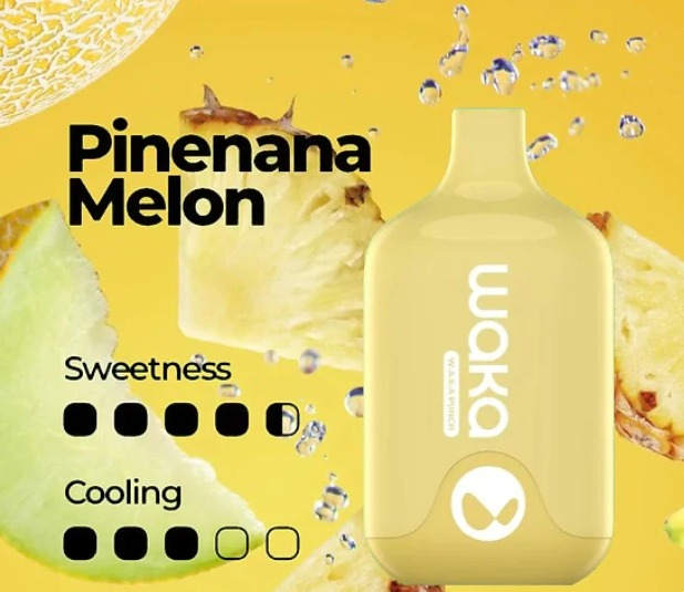 WAKA SMASH PINEAPPLE MELON - 6000 PUFFS — image 1